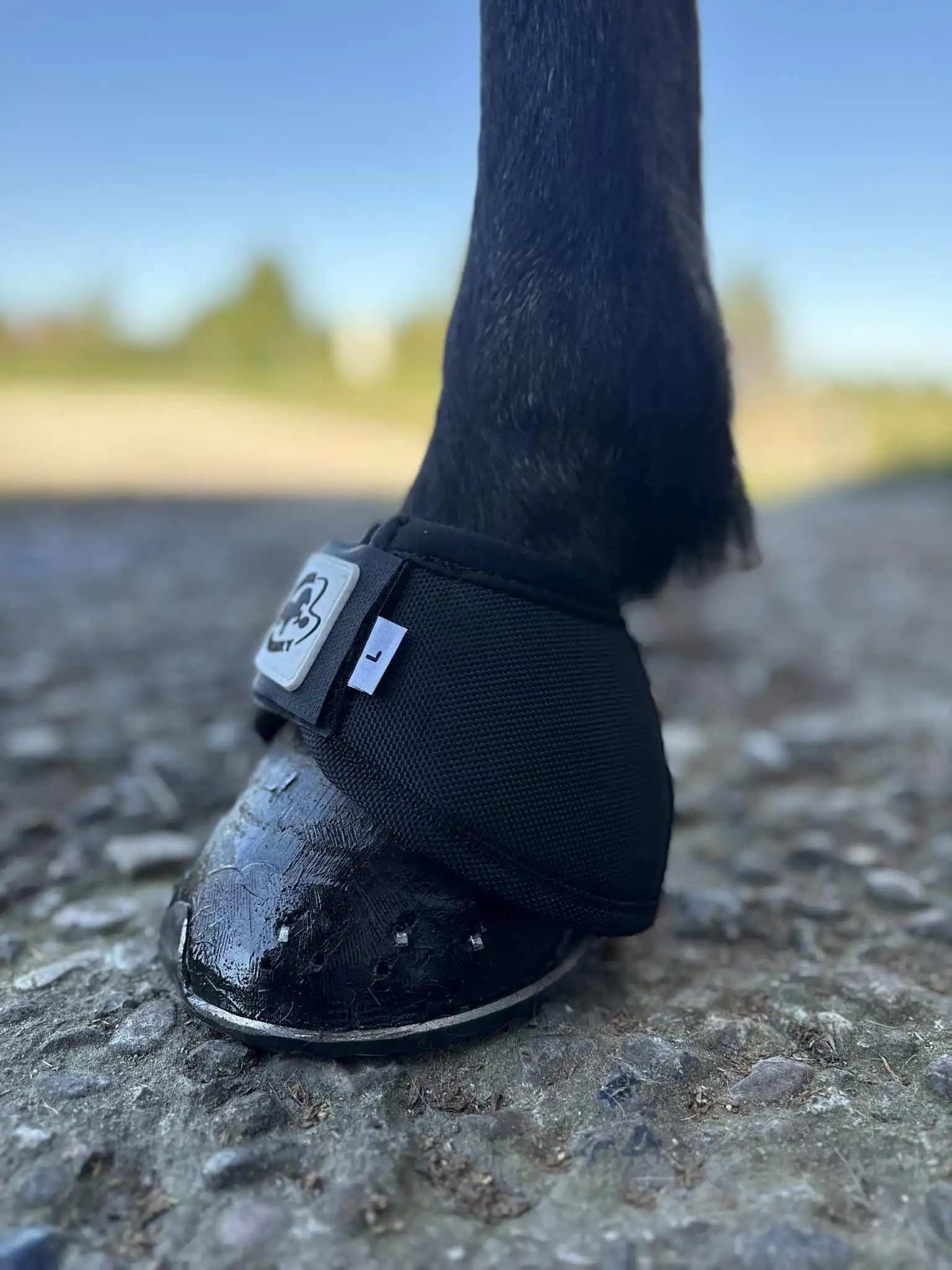 Hestagallery No-Turns met Kevlar